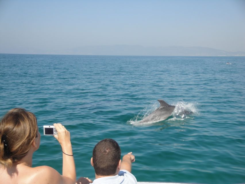 From Sesimbra: Arrábida Dolphin Watching Boat Tour - Important Attire Recommendations