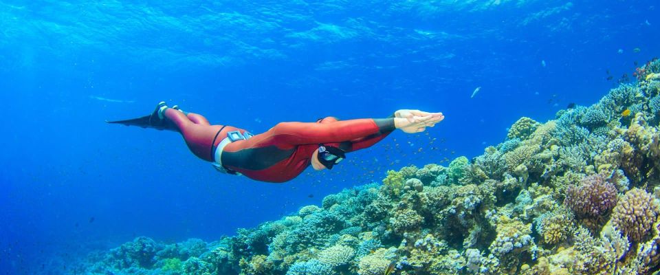 From Sharm El Sheikh: Full Day in Dahab With Snorkeling - Common questions