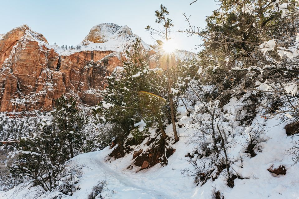 From Springdale: 4-hour Zion Canyon Scenic Hiking Tour - Important Info: Packing and Customization