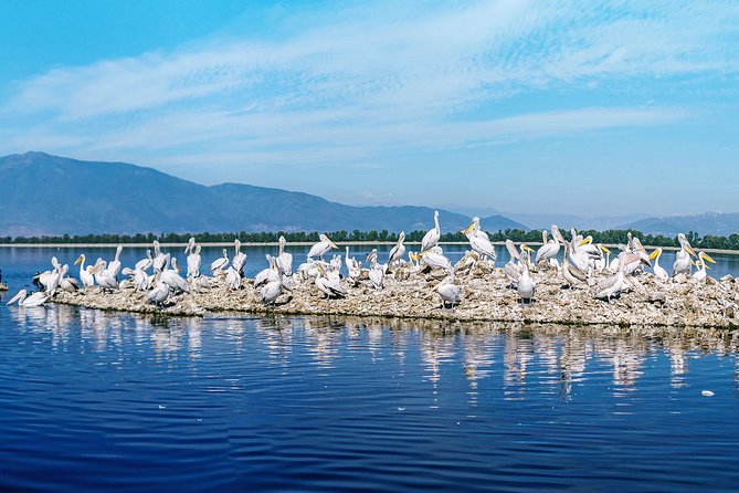 From Thessaloniki: Day Trip to Kerkini Lake - Last Words