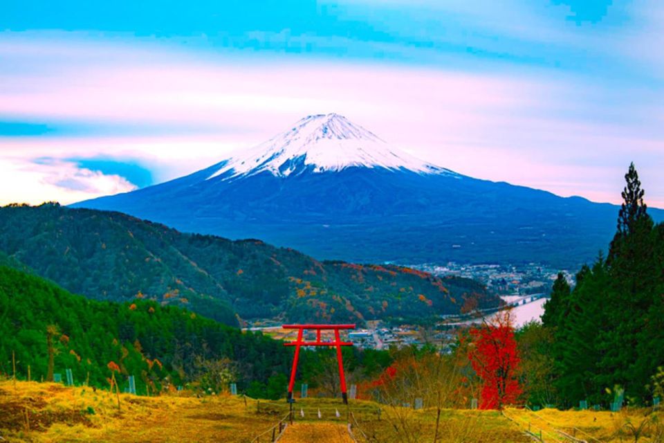 From Tokyo: Private Mount Fuji and Hakone Full-Day Trip - Common questions