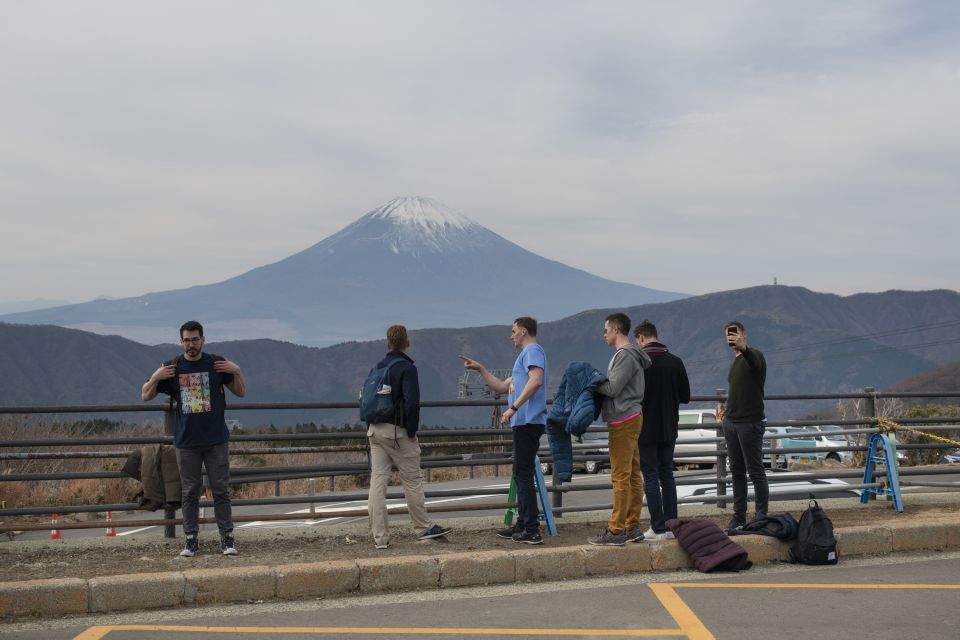 From Tokyo: Private Scenic Day Trip to Hakone - Last Words