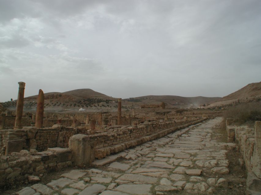 From Tunis: Bulla Regia & Dougga Archaeologial Tour & Lunch - Common questions