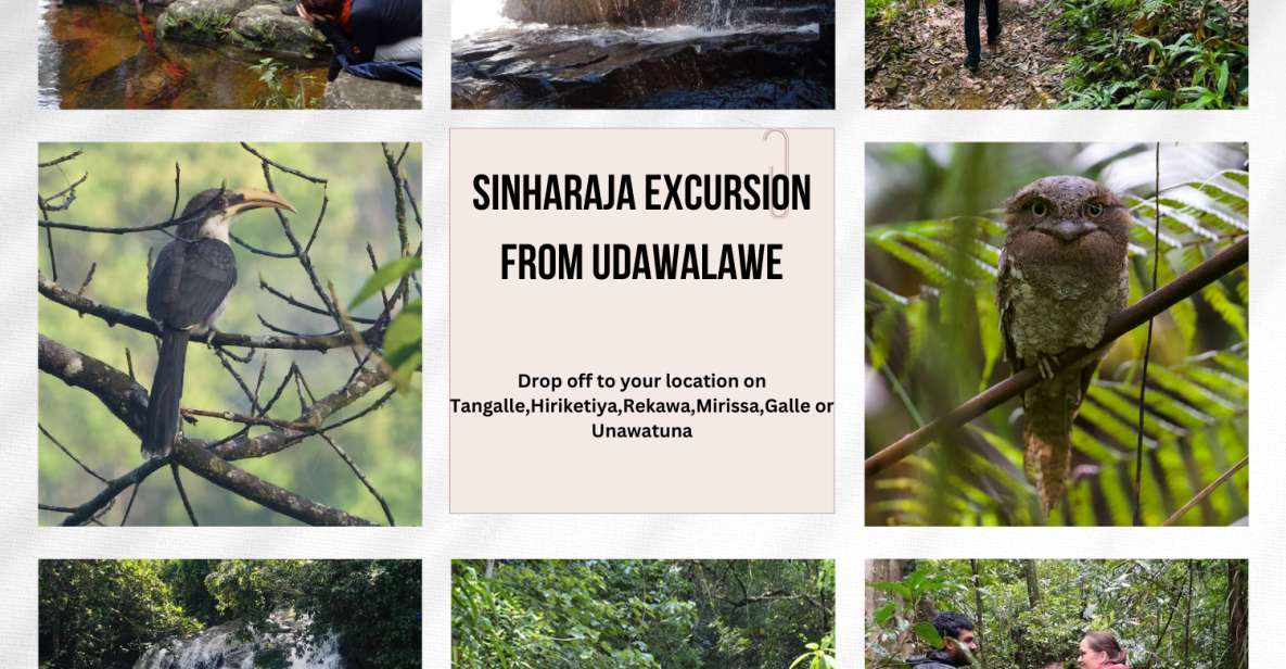 From Udawalawe:Sinharaja Rain Forest Private Day Tour - Last Words