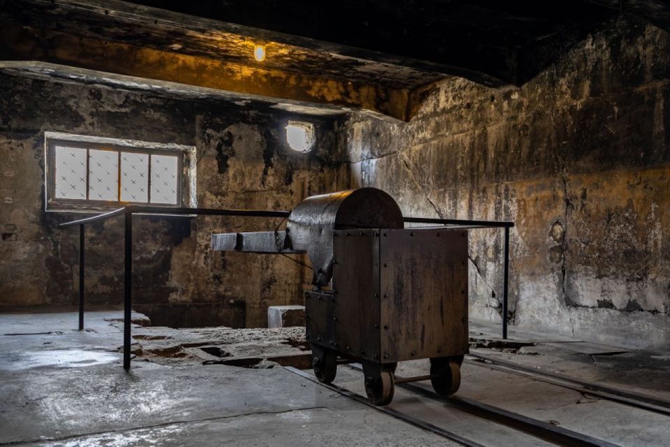 From Warsaw: Auschwitz-Birkenau & Private Transport - Tour Duration and Itinerary