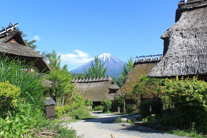 Fuji Spiritual Private Tour With Lunch and Dinner - Customer Support