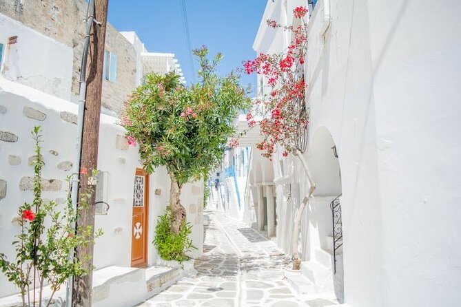 Full Day Bus Tour in Paros and Antiparos Islands From Paros - Booking Information