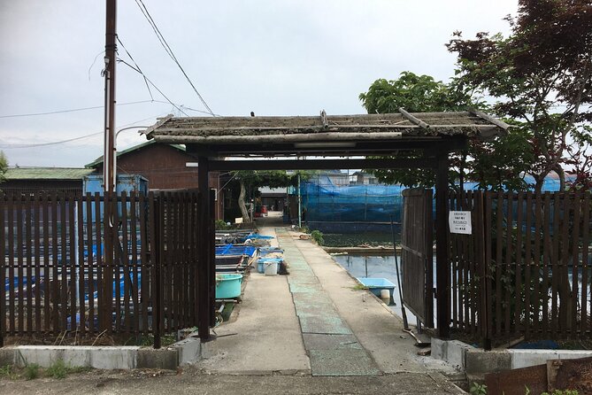 Full-Day Goldfish Unique Experience in Yamato-Koriyama, Nara - Common questions