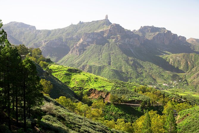 Full-Day Gran Canaria Tour With Teror, Tejeda and Lunch in Fataga - Pricing and Booking Details