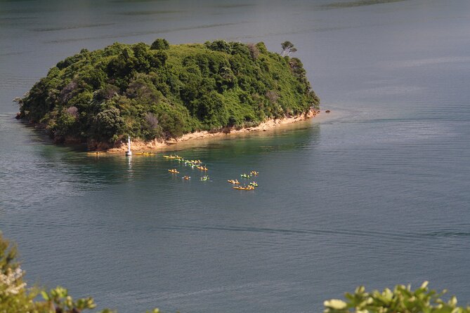 Full Day Guided Sea Kayak Tour From Picton - Additional Details