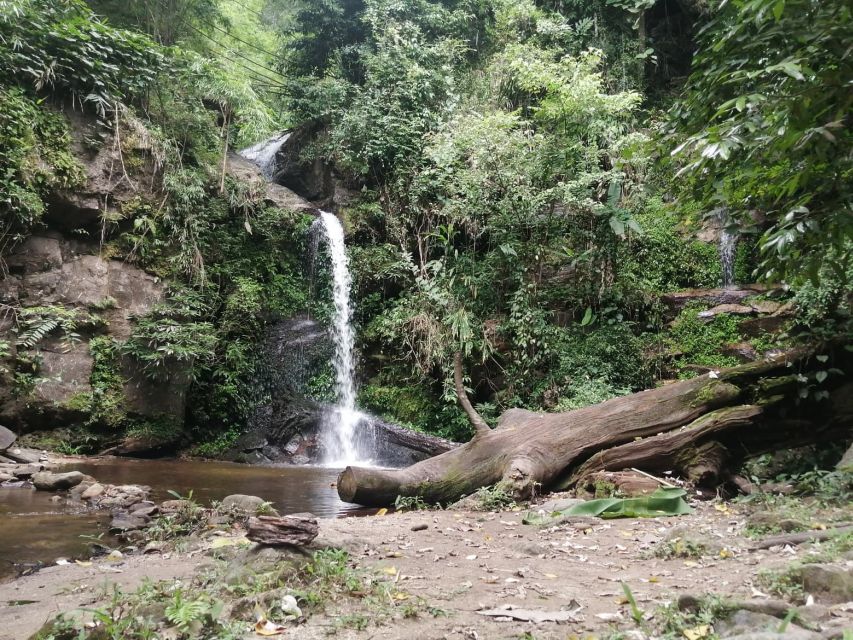 Full Day Hike & Bike at Doi Suthep Mountain National Park - Common questions