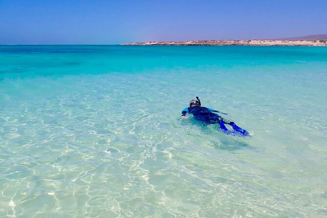 Full-Day Hiking and Snorkeling Tour, Ningaloo and Cape Range  - Exmouth - Common questions