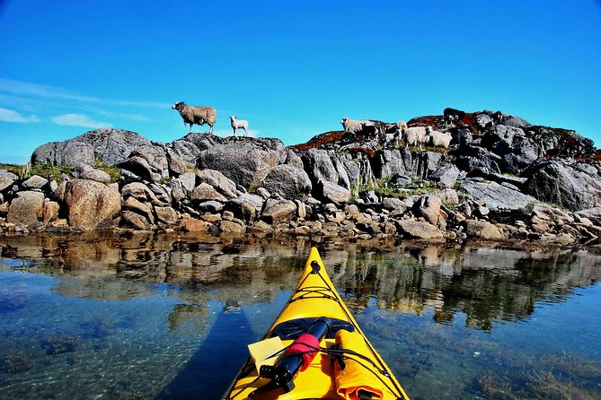 Full Day Kayak-Northern Explorer - Last Words