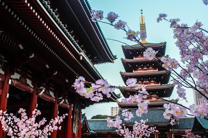 Full Day Kyoto and Nara Guided Tour - Booking Information