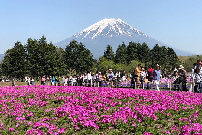 Full Day Private Fuji Tour With English Driver & Muslim Friendly - Additional Information and Resources