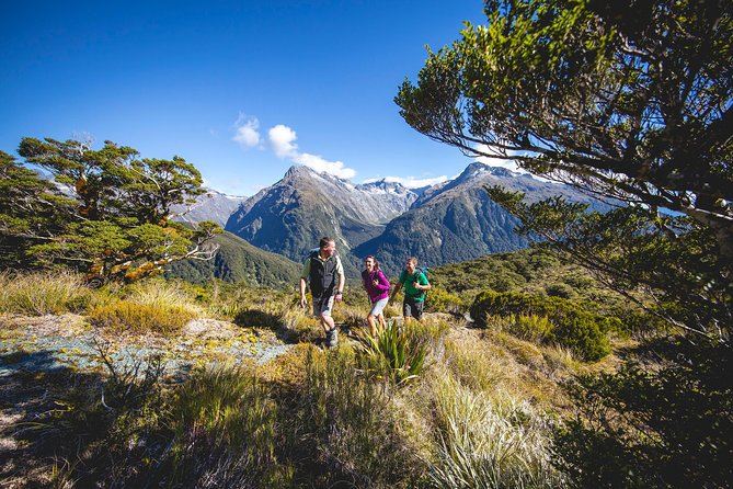 Full-Day Routeburn Track Key Summit Guided Walk From Te Anau - Booking Information