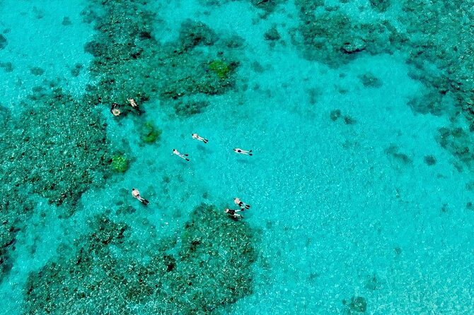 Full-Day Small-Group Guided Snorkeling Tour, Outer Reef (Mar ) - Additional Information and Company Details