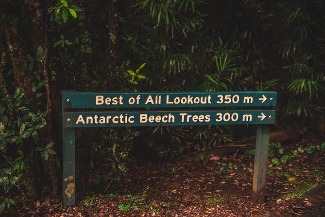Full-Day Springbrook National Park Tour From the Gold Coast - Common questions