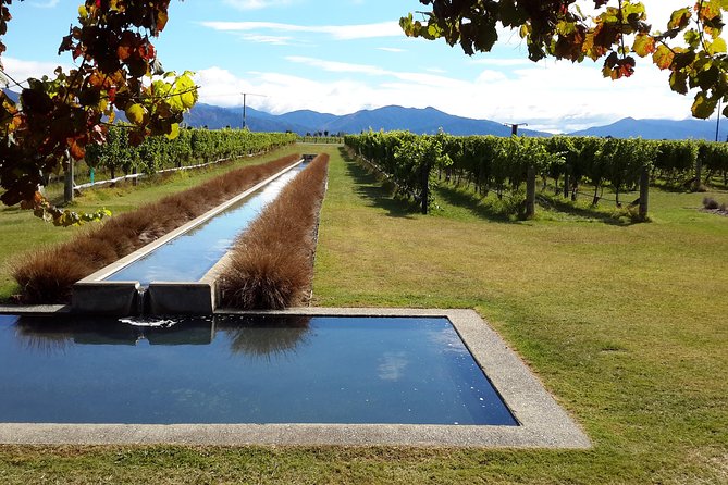 Full-Day Taste the Wines of Marlborough Tour - Last Words