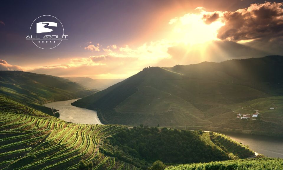 Full Day Tour in Douro: Sightseeing, Wine Tasting and Lunch - Location and Essential Information
