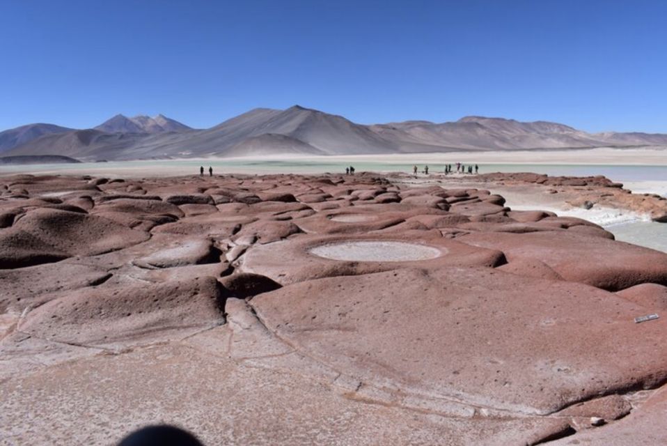 Full Day Tour to Lagunas Altiplanicas, Piedras Rojas, and Laguna Chaxa - Last Words