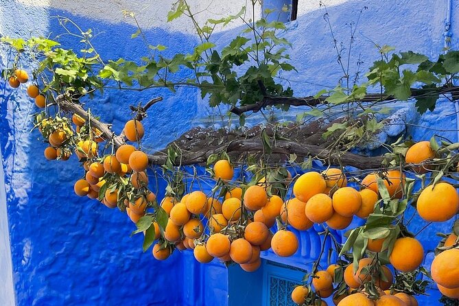 Full-Day Tour to the Blue City Chefchaouen on Small-Group - Booking Information