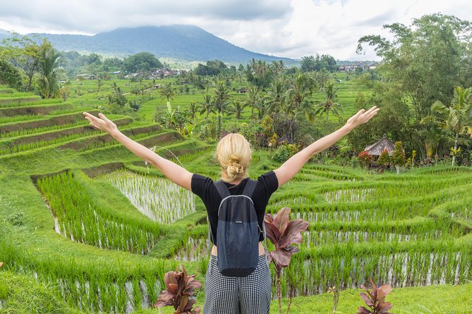 Full-Day Tour to Water Temples and UNESCO Rice Terraces in Bali - Common questions
