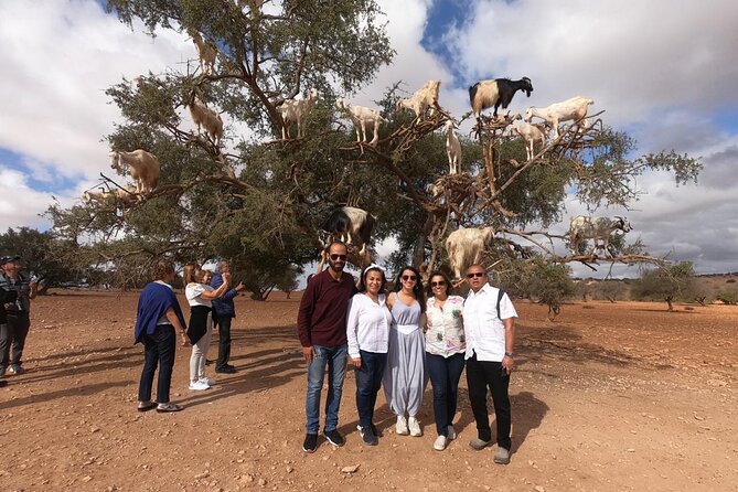 Full Day Trip to Essaouira City From Marrakech - Last Words