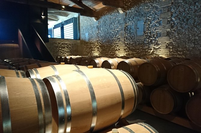 Full-Day Wine Tour in Saint-Emilion (Premium Sedan) - Last Words