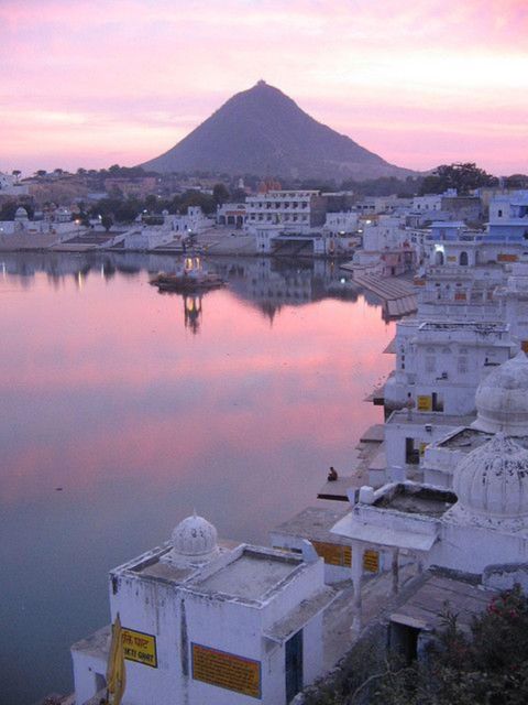 Fullday Pushkar Tour From Jaipur With Guidcamel/Jeep Safari - Customer Recommendations