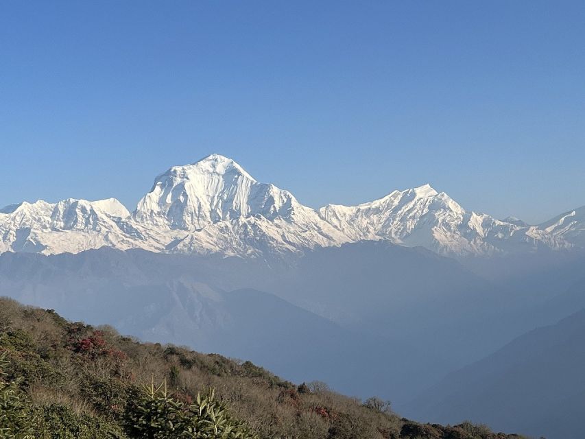 Ghorepani Poonhill Trek - Itinerary and Services