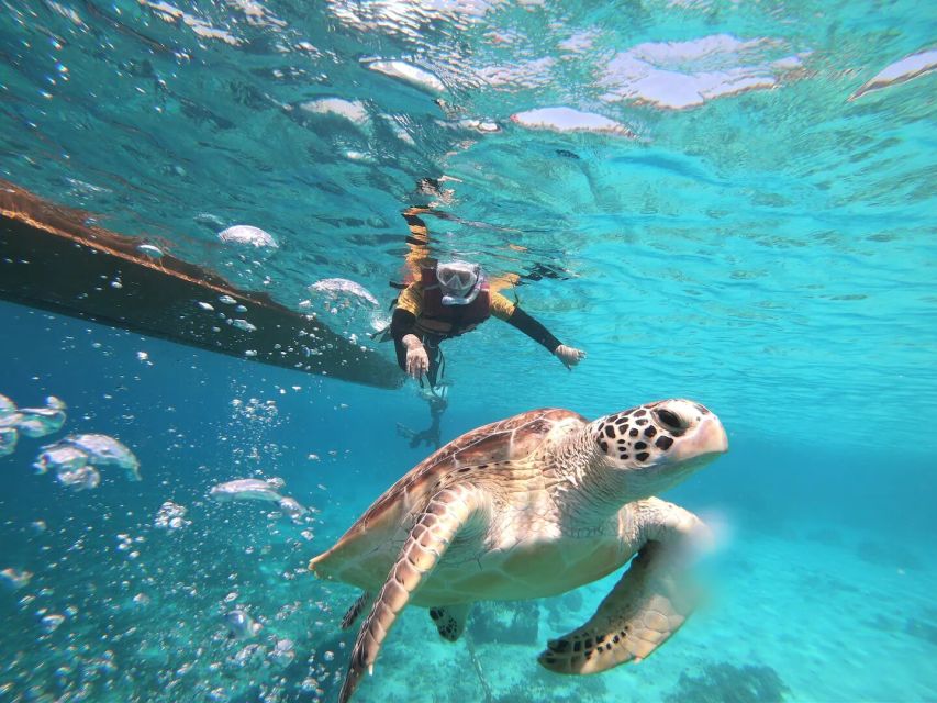Gili Islands: Private or Shared Snorkeling Boat Trip - Snorkeling Experience Details