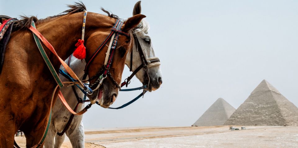 Giza: Arabian Horse Tour Around the Giza Pyramids - Common questions