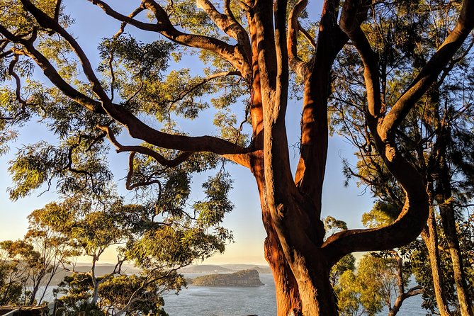 Golden Beaches and Ocean Vistas MANLY AND NORTHERN BEACHES PRIVATE TOUR - Last Words