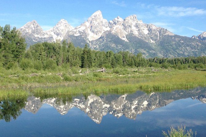 Grand Teton National Park - Full-Day Guided Tour From Jackson Hole - Visitor Feedback Highlights