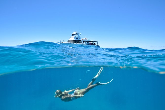 Great Barrier Reef Cruise From Townsville or Magnetic Island - Common questions