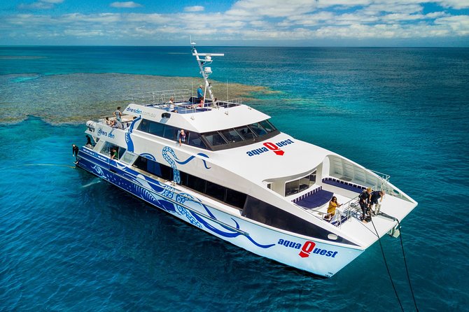 Great Barrier Reef Diving and Snorkeling Cruise From Cairns - Native Wildlife Encounters