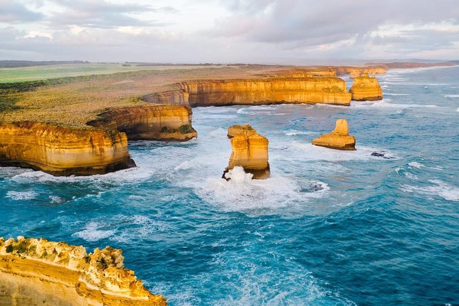 Great Ocean Road Medium Size Group Tour - Contact and Support