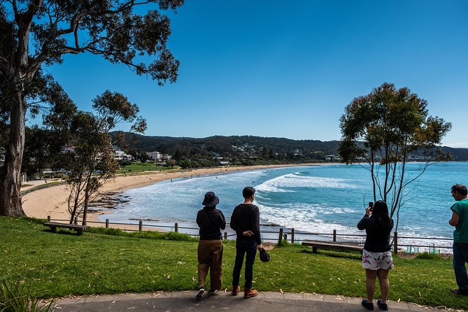 Great Ocean Road Small-Group Ecotour From Melbourne - Last Words