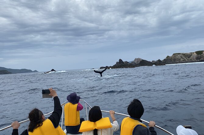 Great Whale Watching at Kerama Islands and Zamami Island - Last Words