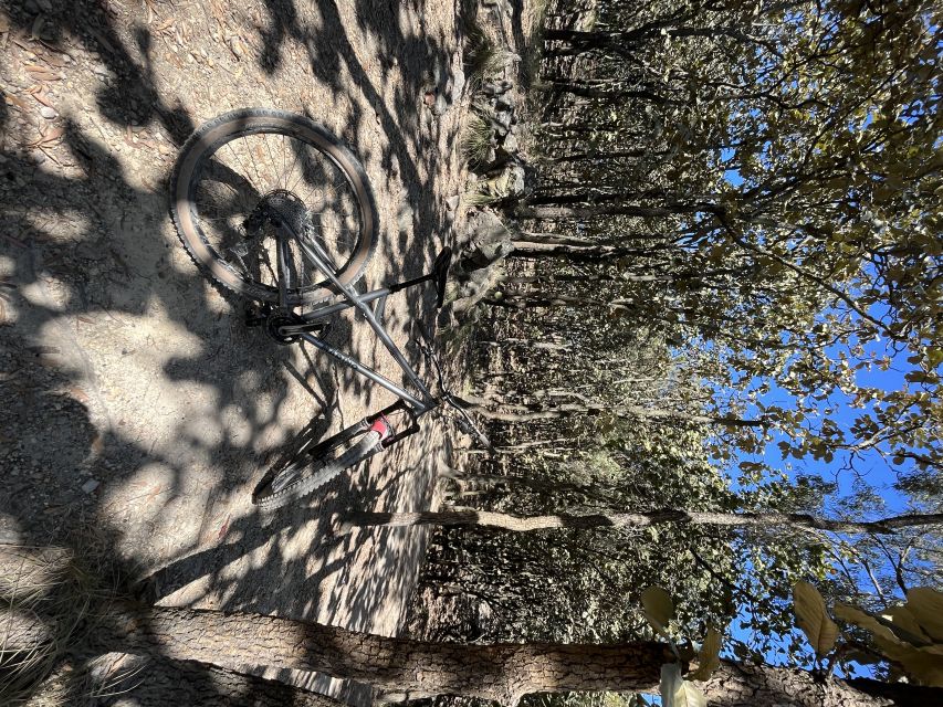 Guadalajara: La Primavera Forest 25-km Mountain Biking Tour - Booking Information