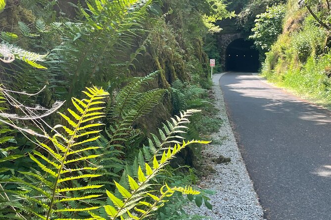 Guided Bike Ride: Exploring the Limerick Greenway - Common questions