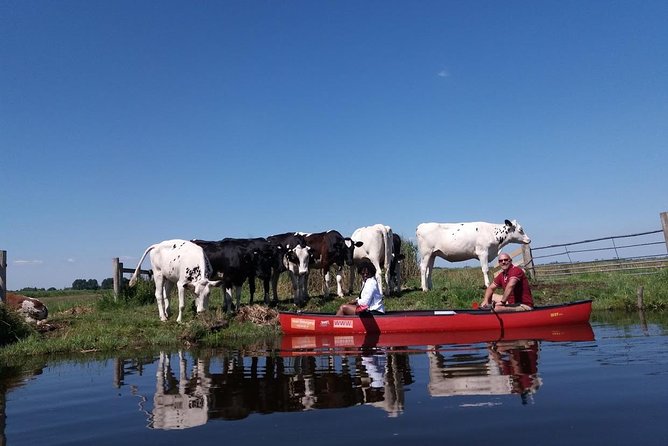 Guided Canoe Adventure With Picnic Lunch in Waterland From Amsterdam - Directions