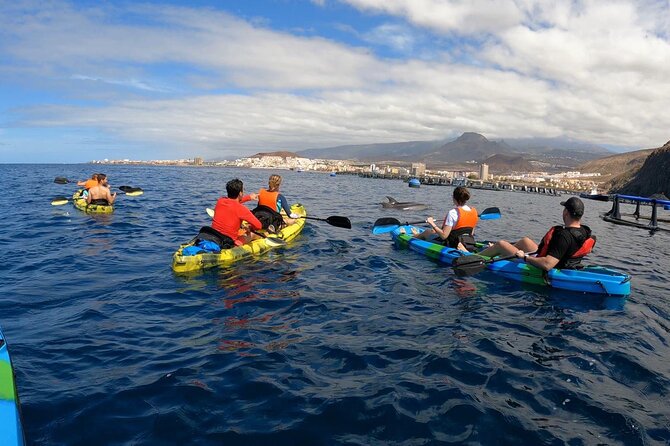 Guided Kayak Tour From Los Cristianos Beach Tenerife - Last Words