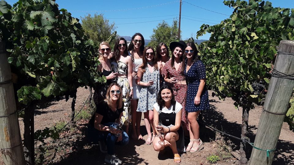 Guided Private Wine Tour to Napa and Sonoma Wine Country - Wine Tasting Experience