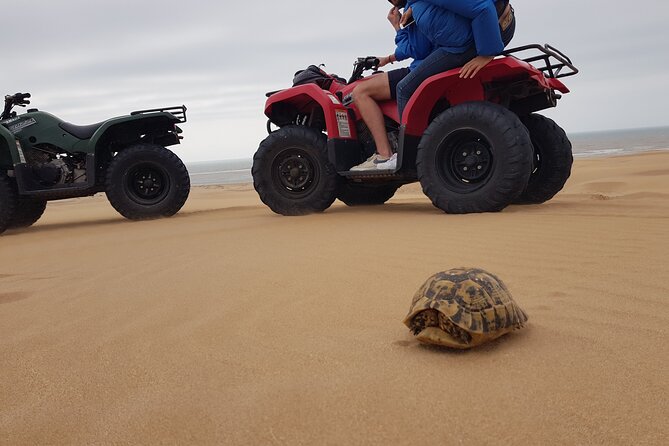 Guided Quad Ride in Essaouira (1 Hour). (Minimum 2 People) - Booking and Minimum Requirement