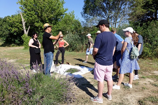 Guided Tour of Lavender Distillery Between Provence & Camargue - Additional Information and Resources