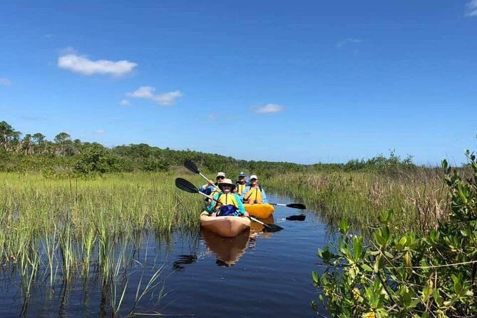 Guided Wildlife Eco Kayak Tour in New Smyrna Beach - Last Words