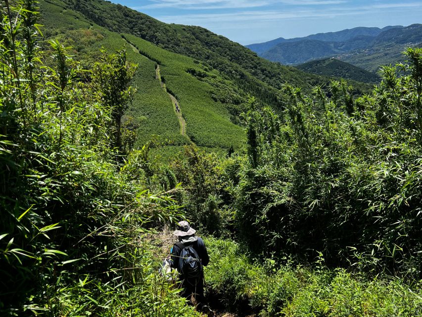 Hakone: Traverse the Hakone Caldera and Enjoy Onsen - Preparation and Guidelines