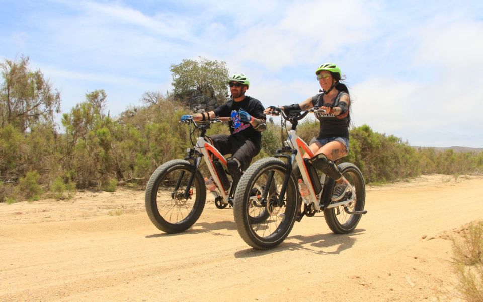 Half-Day Bicycle Tour by Baja California Desert - Last Words